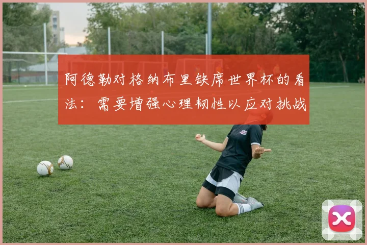 阿德勒对格纳布里缺席世界杯的看法：需要增强心理韧性以应对挑战